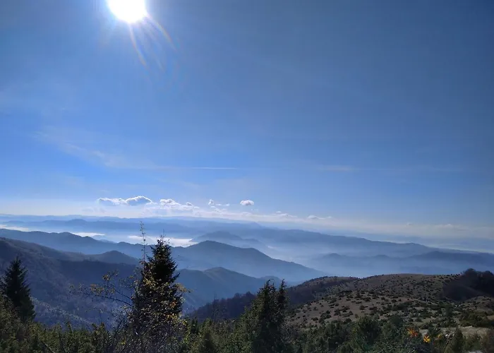 Lux Apartmani Dunja Kopaonik Cardaci - White