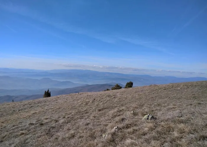 Lux Apartmani Dunja Kopaonik Cardaci - White